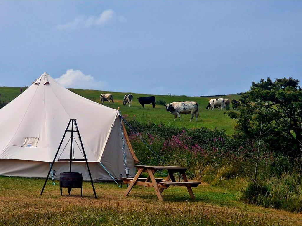 Beautiful 1-Bed Bell Tent In Голігед Екстер'єр фото
